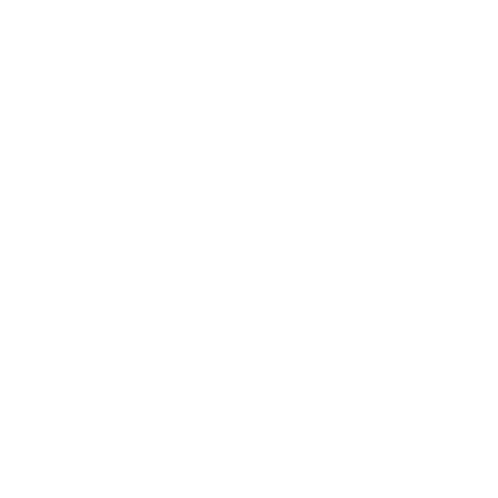 WordPress-logotype-wmark-white 1